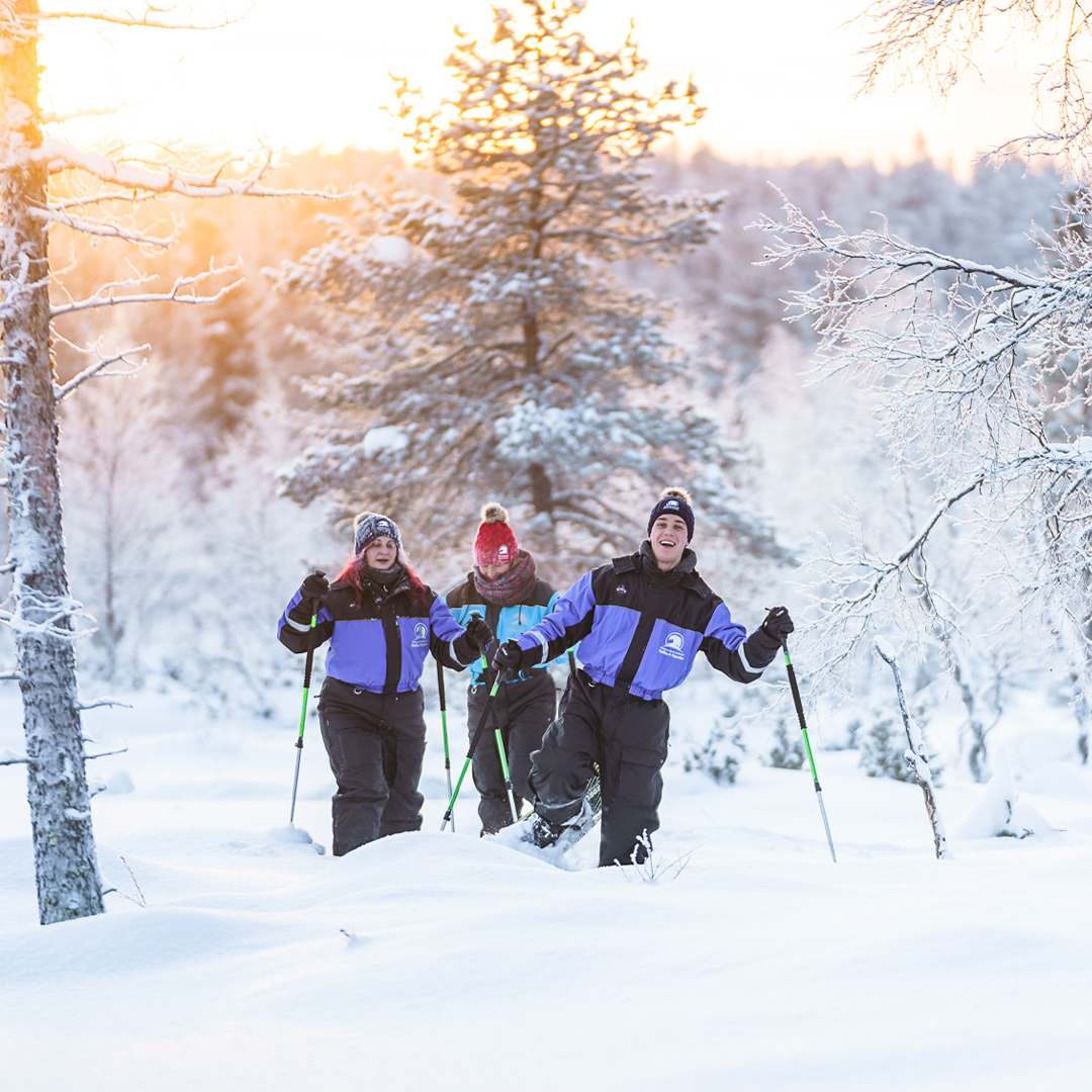 Finland: Northern Lights & Snowmobiles | Solo Travel Finland