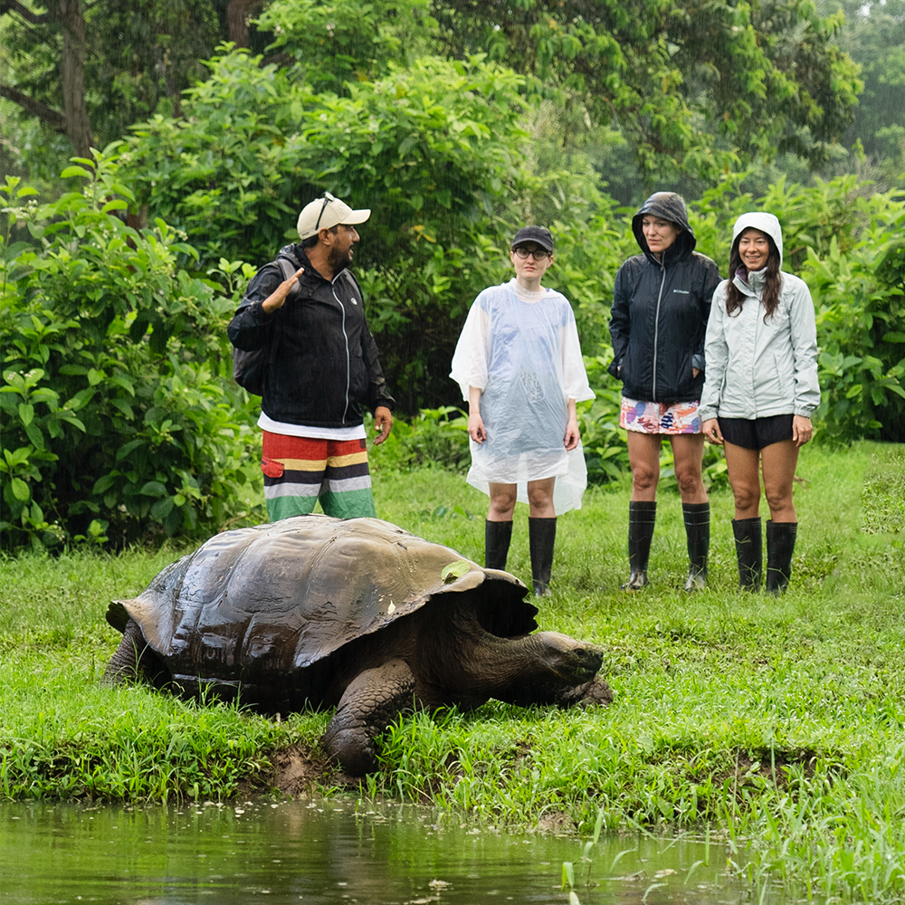 Ecuador & the Galápagos