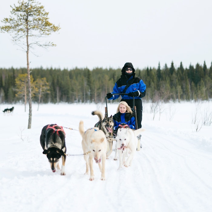 Winter Finland: Northern Lights & Snowmobile Thrills