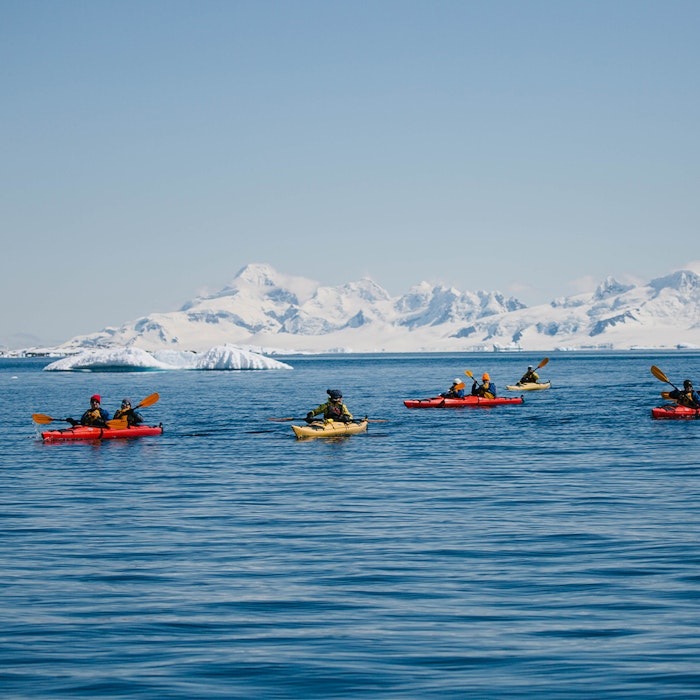 Antarctic Highlights: The Peninsula